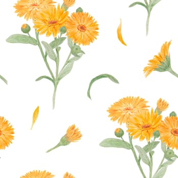 Orange calendula officinalis. Watercolor hand drawn illustration. Sunny ruddles flower with yellow petals and green leaves for natural herbal medicine, healthy tea, cosmetics and homeopatic remedies. Marigold botanical clipart good as an element for packaging design, labels, eco goods, textile, invitations