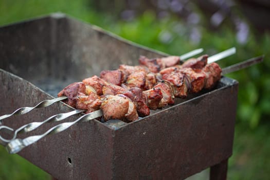 Outdoor picnic with grilling fresh meat shish kebab (shashlik) on a steel skewers on a grill wood coal. BBQ on summer picnic in green garden.