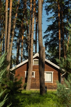 Cozy small wooden house cottage in a pines forest in summer. Rustic tranquil cabin retreat on nature rural area.