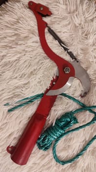 garden tool scissors for pruning trees, object. High quality photo