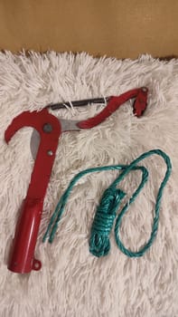 garden tool scissors for pruning trees, object. High quality photo