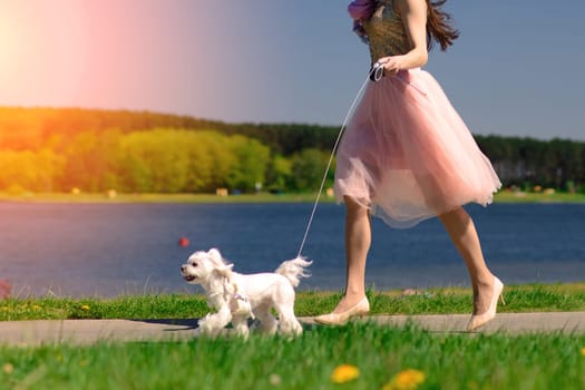 Young woman with her dog. Puppy white dog is running with it's owner. Concept about friendship and animal.