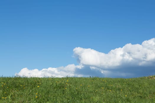 Meadow with cumulus clouds,nature with colour contrast also suitable as a background