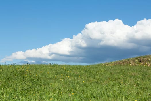 Meadow with cumulus clouds,nature with colour contrast also suitable as a background