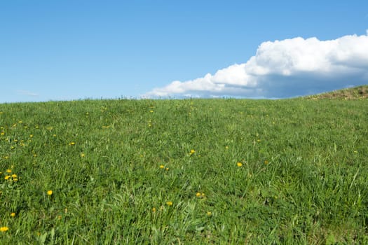 Meadow with cumulus clouds,nature with colour contrast also suitable as a background