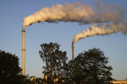 Hornitex chimneys in Horn