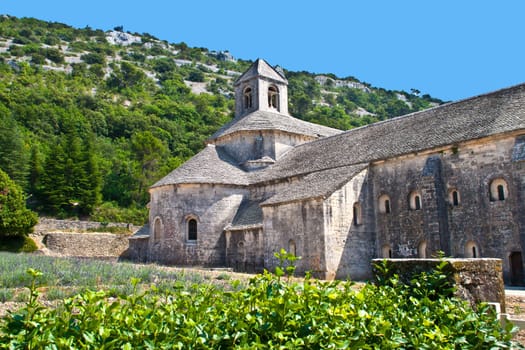 Cloister of Senanque Abbey, Vaucluse, Gordes, Provence, France