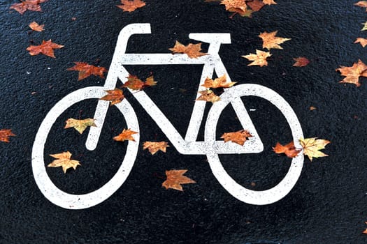 white mark bicycle lane at the street