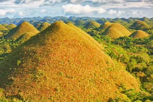 View of The Chocolate Hills. Bohol, Philippines