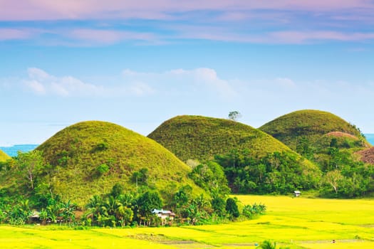 View of The Chocolate Hills. Bohol, Philippines