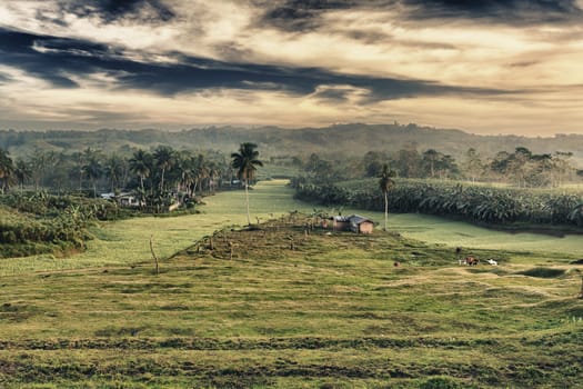 Rural landscape at sunset time. Bohol. Philippines