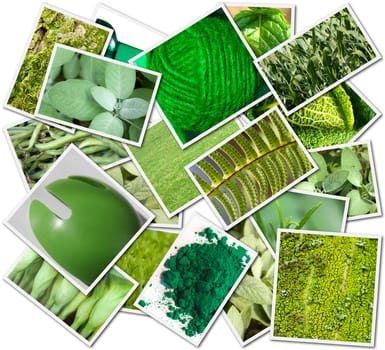 Photo&#039 s collage with green object