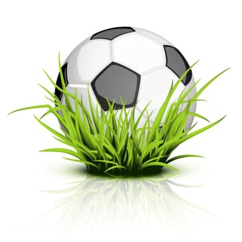 Shiny soccer ball on reflecting grass