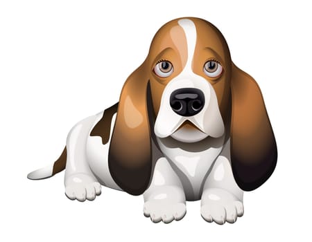 Basset Hound puppy lying on floor