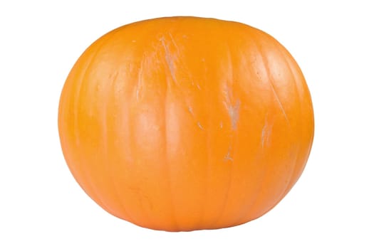 big orange pumpkin isolated on white background
