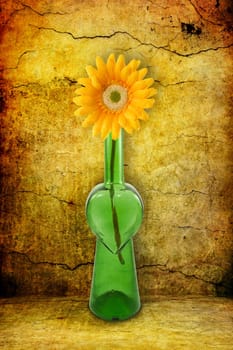 green bottle with flower on grunge background