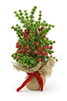 artificial decorative christmas tree on white background