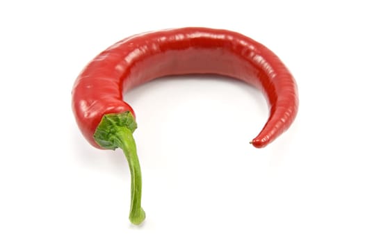 single red chili pepper on white background