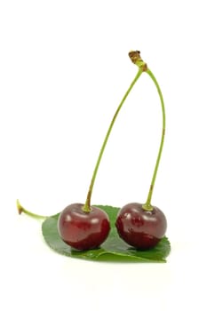 dark red cherries on a green leaf