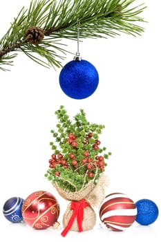 pine branch and christmas decorations over a white background.