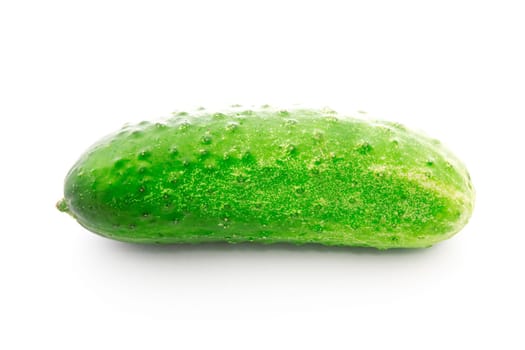 green cucumber isolated over a white background