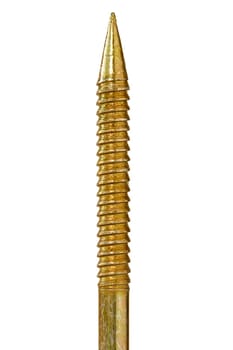 golden screw isolated over a white background