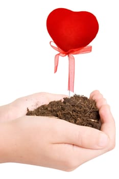 hands with soil and growing heart. isolated on white