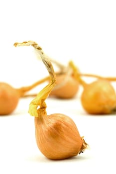 fresh organic onions isolated on white background
