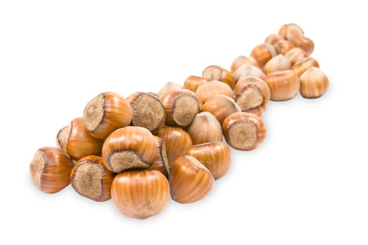 pile of hazelnuts on the white background