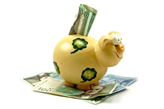 piggy bank and banknotes isolated on white background