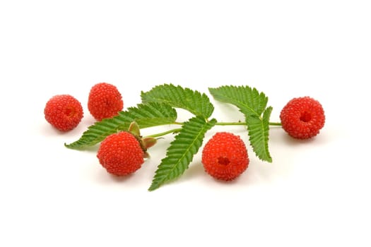 Raspberries with green leaves isolated on white background