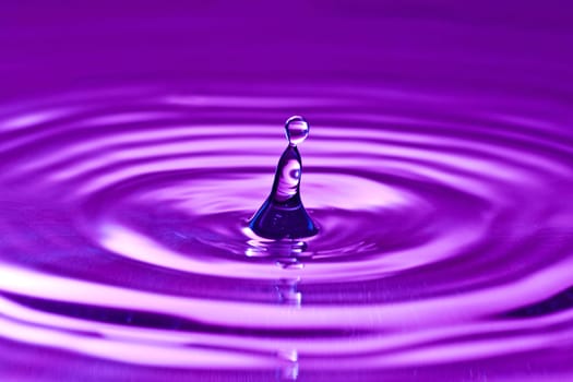 purple droplet splash in clean water