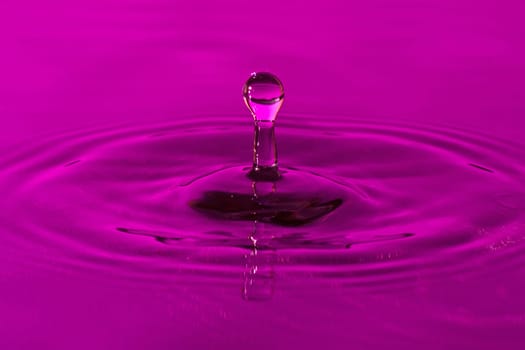 close-up of a droplet, falling in the purple water
