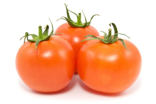 three red tomatoes isolated on white background