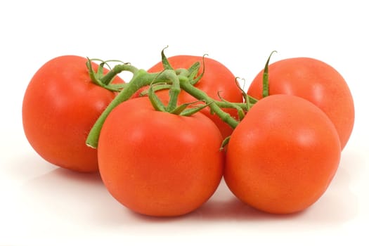 bunch of fresh tomatoes on white background