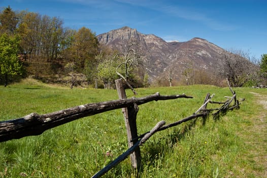 Rural scene of a spring meadow with fence, Domodossola, Italy