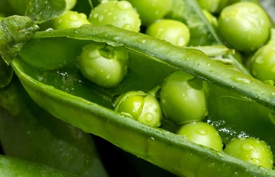 a macro shot of fresh peas