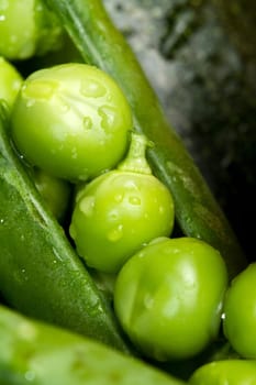 a macro shot of fresh peas