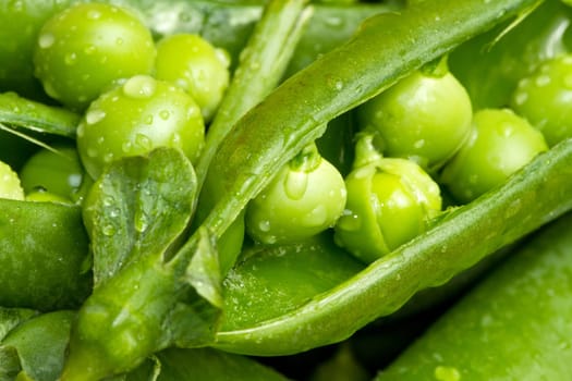 a macro shot of fresh peas