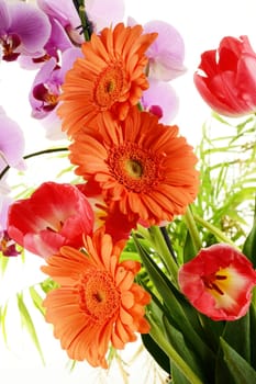 Flower bouquet