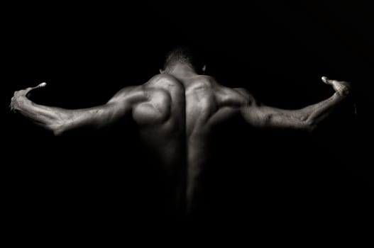 Beautiful and muscular black man&#039 s back in dark background