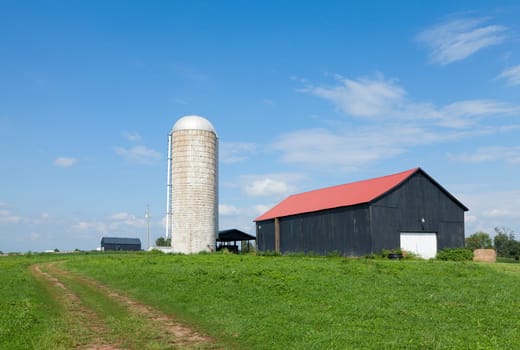 Typical farm with silo and a barn in American Midwest