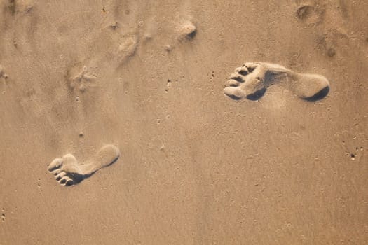 footprints at the beach in fine sand