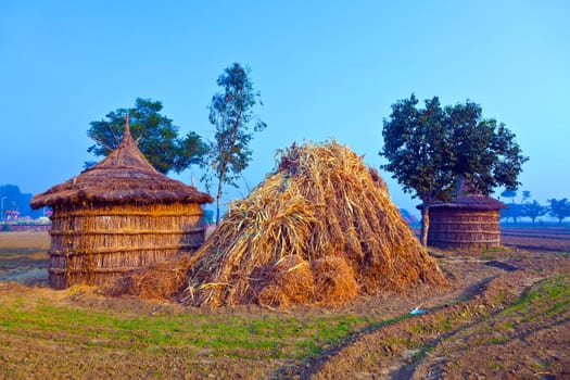 hut of farmer in fields in morning fog