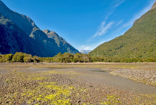 at Milford Sound,New Zealand