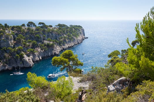 Calanques of Port Pin in Cassis  in France