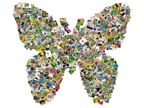 Butterfly, photo collage on white background