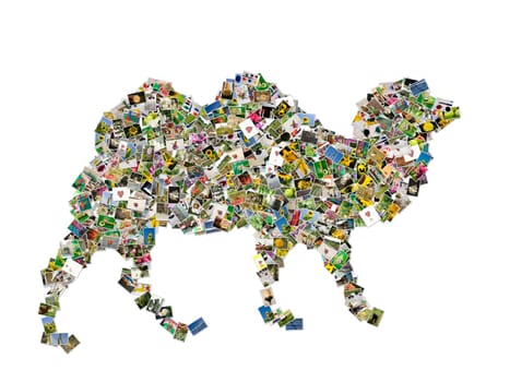 Camel symbol, photos collage isolated on a white background