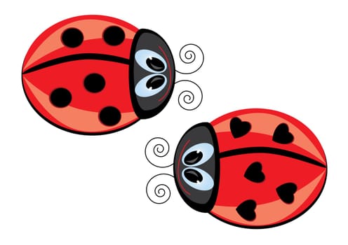 Two Ladybugs. Vector illustration on white background