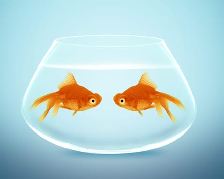 Two goldfish  in fishbowl falling in love, lose one&#039 s heart